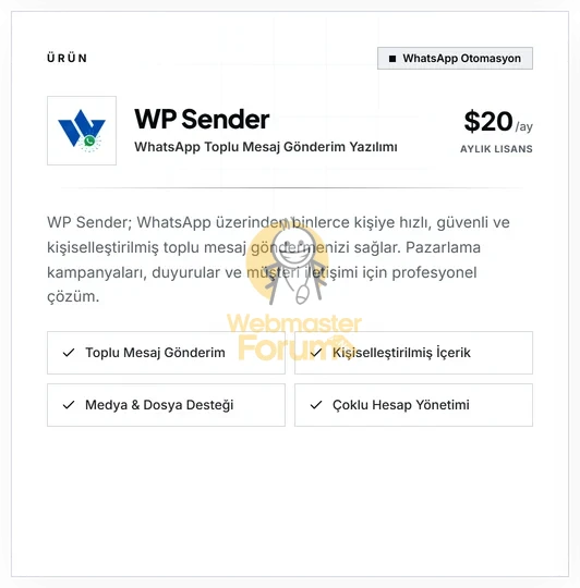 13.webp