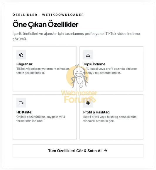 18.webp
