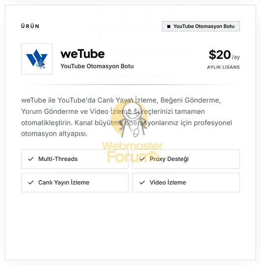 19.webp