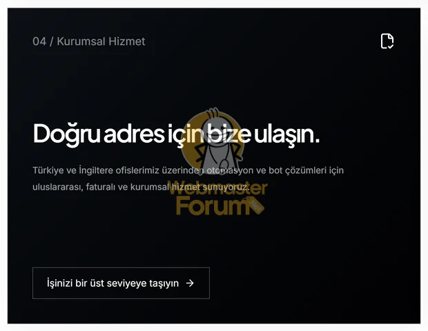35.webp