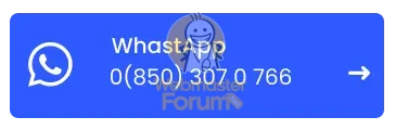 7.webp
