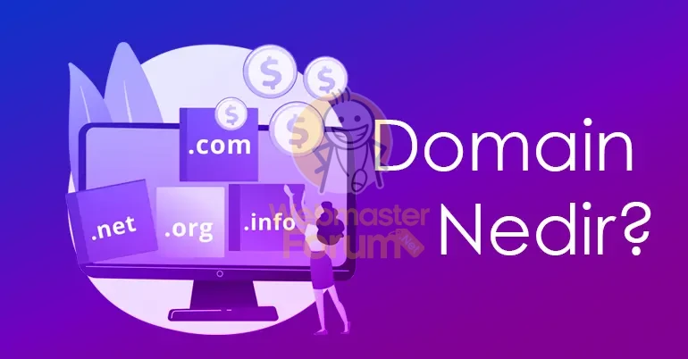 Domain Nedir.webp