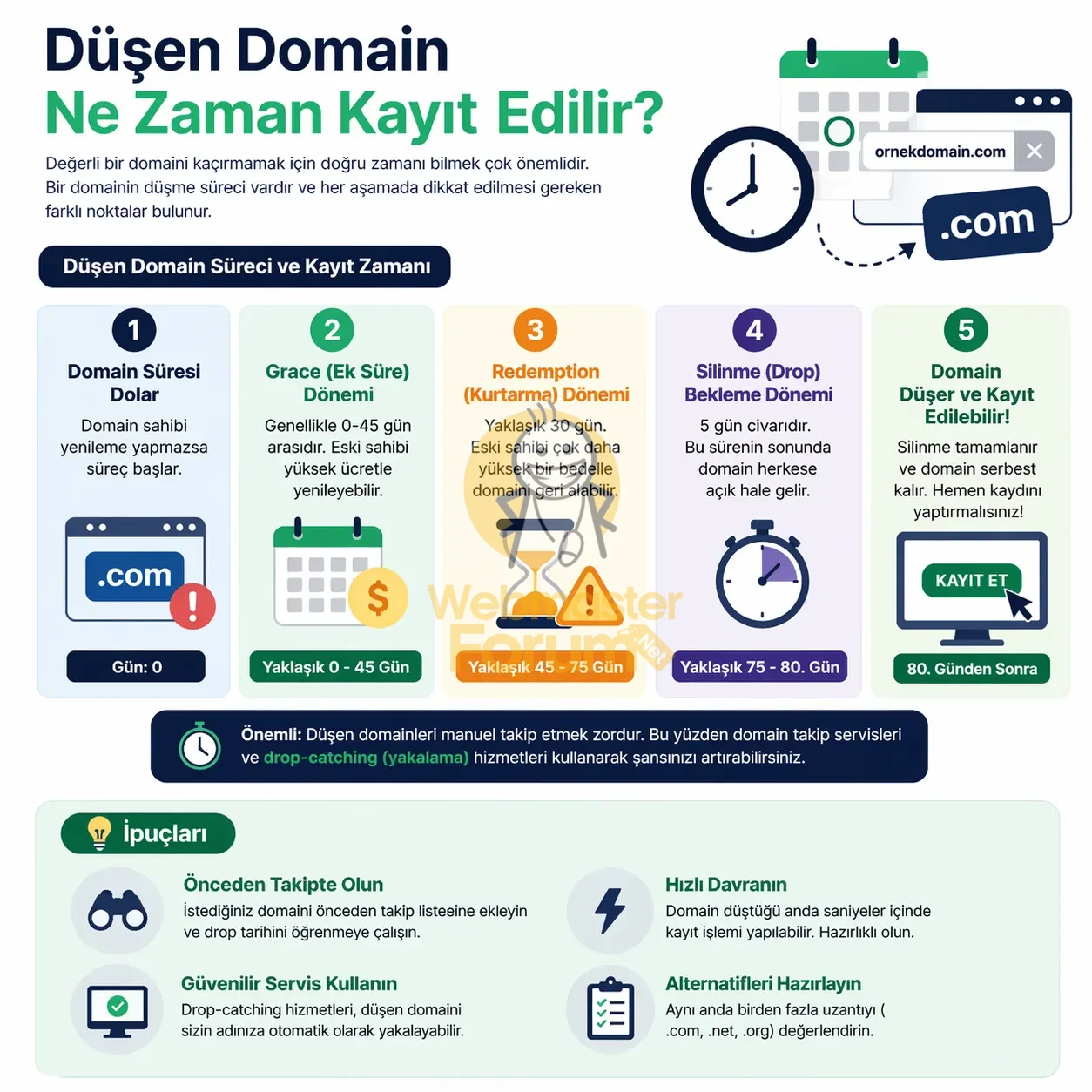 Düşen Domain Ne Zaman Kayıt Edilir.webp