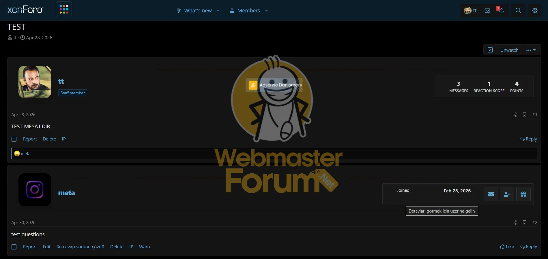 t2.webp
