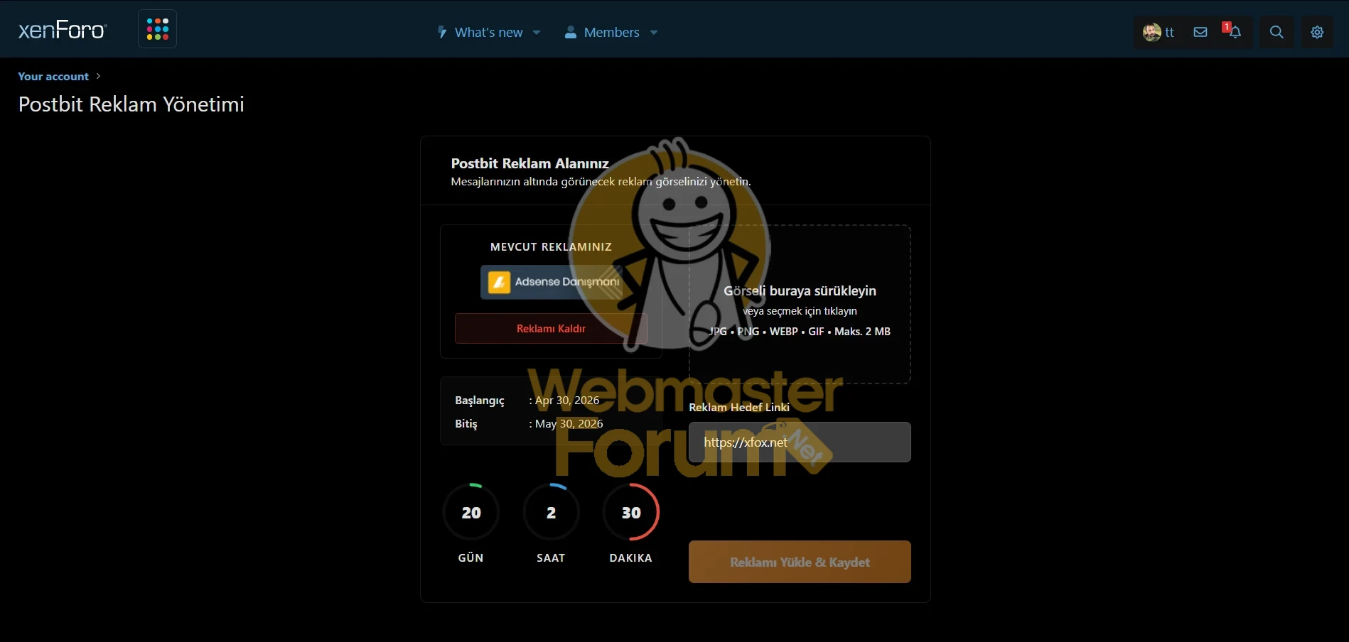 t4.webp