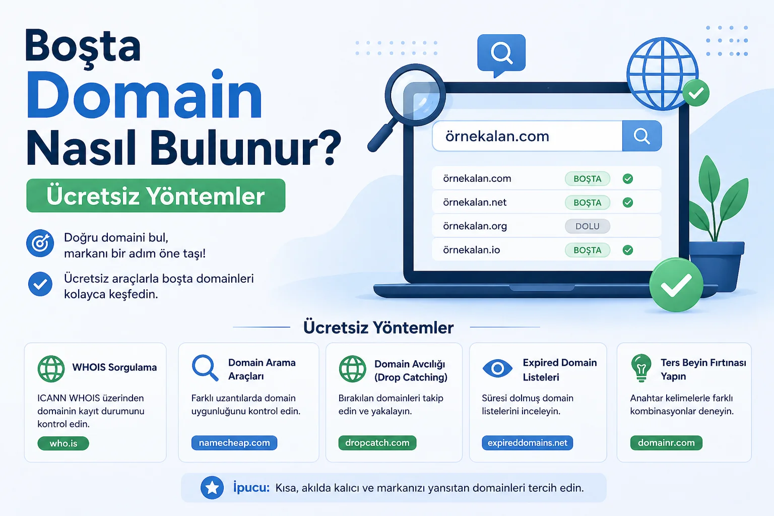 Boşta Domain Nasıl Bulunur.webp