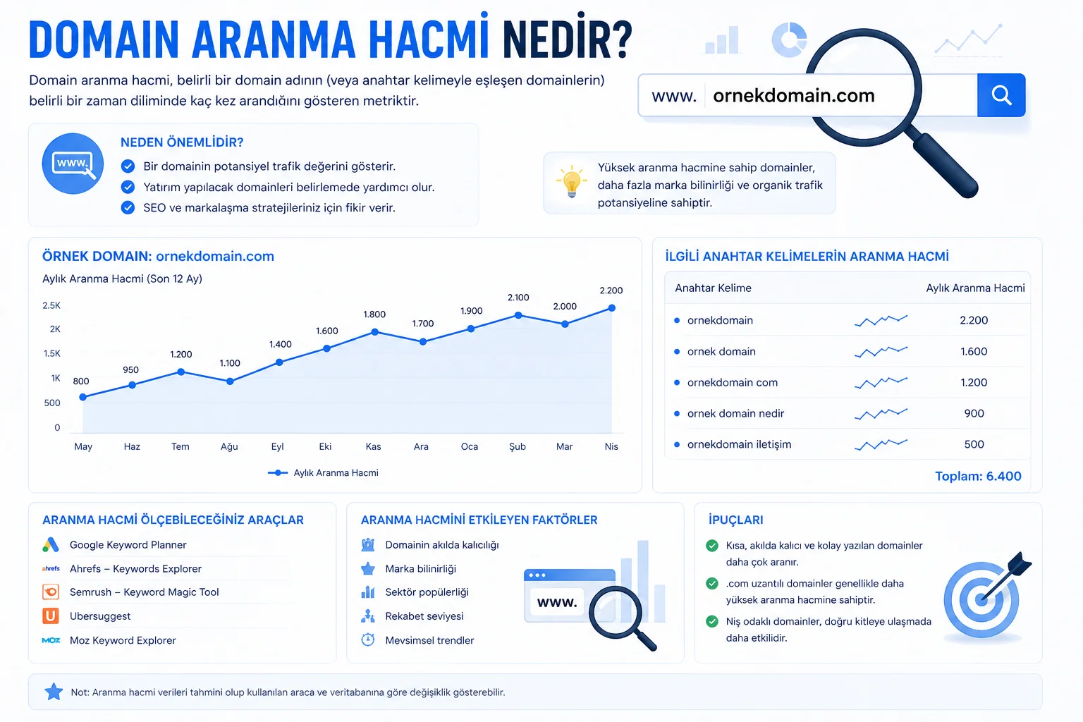 Domain Aranma Hacmi Nedir.webp
