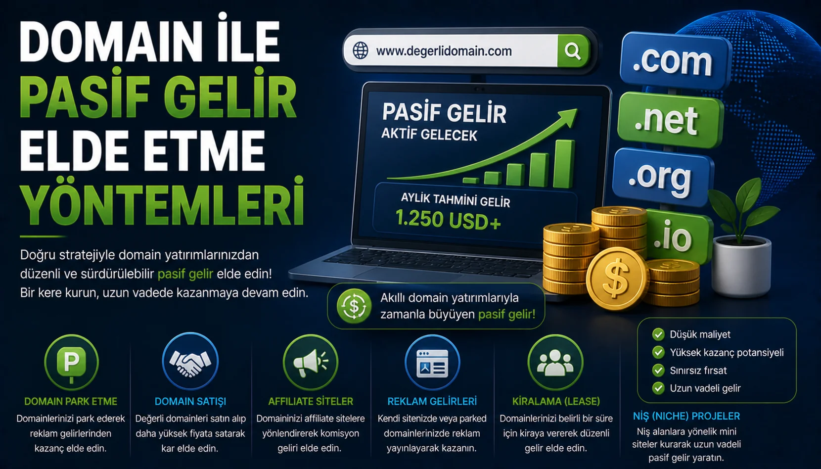 Domain ile Pasif Gelir Elde Etme Yöntemleri.webp