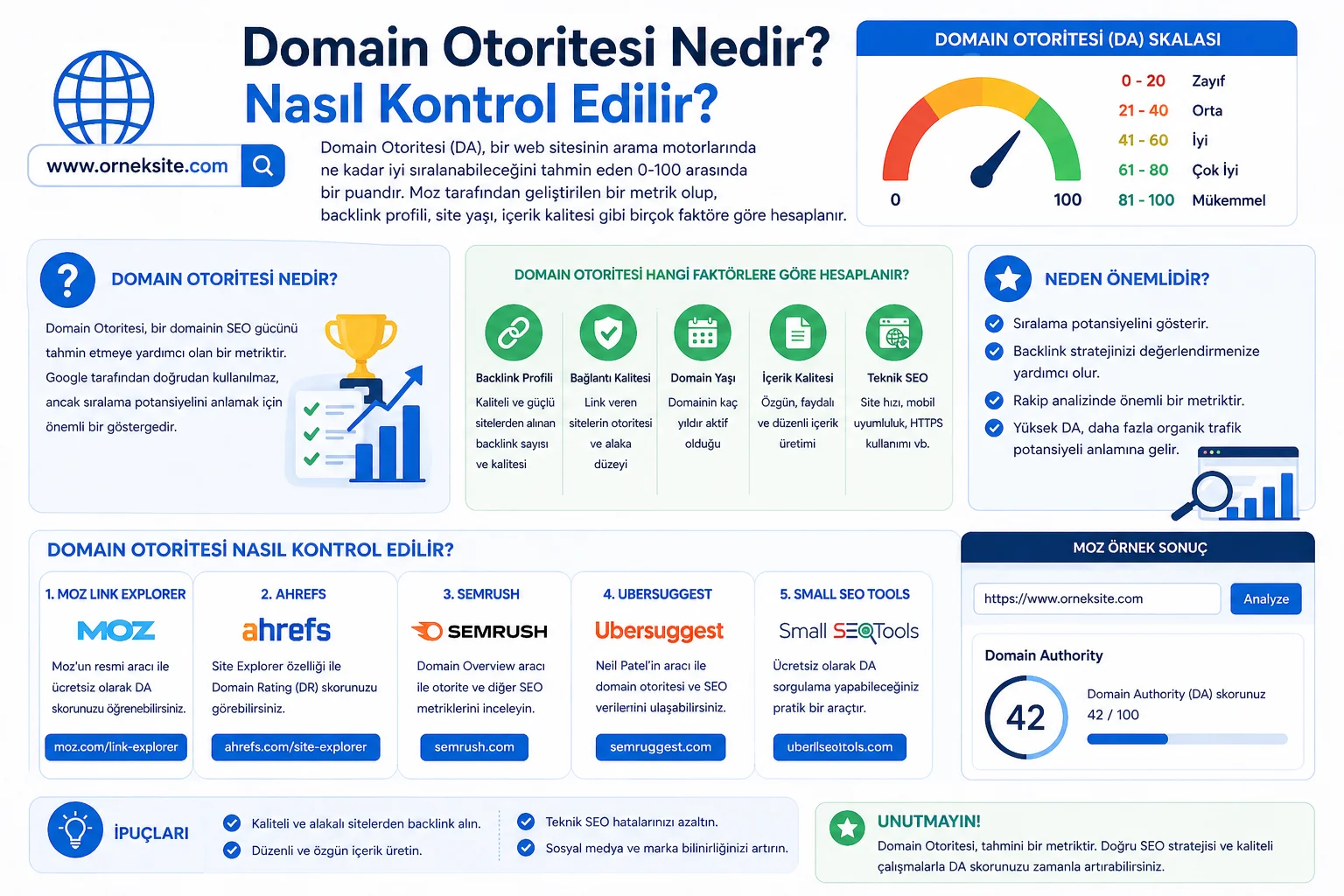 Domain Otoritesi Nedir.webp