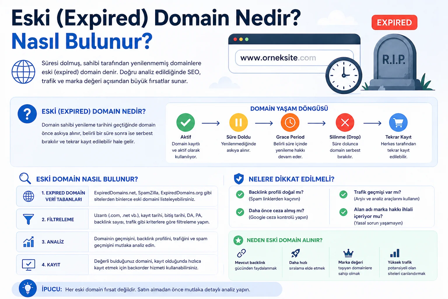 Domain Nedir.webp