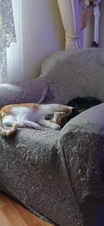 WhatsApp Görsel 2024-05-15 saat 23.47.19_5553e38d.webp