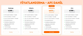 4.webp