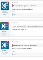 Xenforo-2-HİDE-HACK-mesaj-yada-beğeni.webp