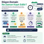 Düşen Domain Ne Zaman Kayıt Edilir?