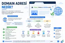 Domain Adresi Nedir.webp