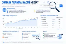 Domain Aranma Hacmi Nedir.webp