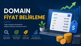 Domain Fiyatını Belirleyen Kriterler Nelerdir.webp