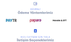 5.webp