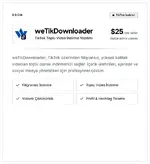 17.webp