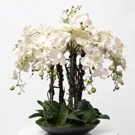 derinflowers